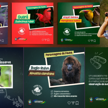 Captura de tela 2026-01-27 123744